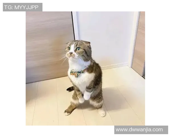 足球明星调皮捣蛋拽女孩辫子引发热议网友纷纷点赞互动趣味十足