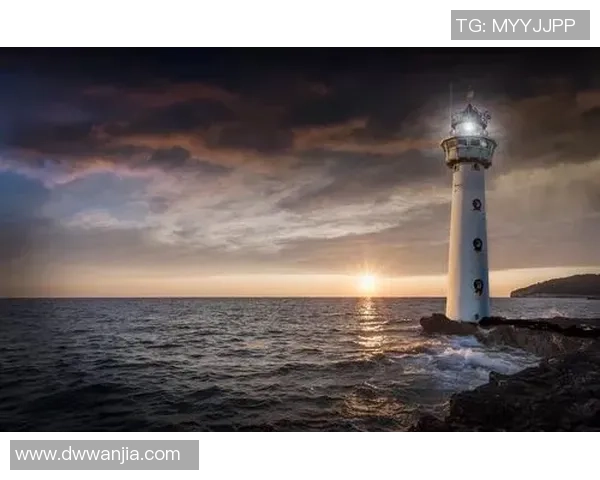 深度对话：王娜如何在排球世界中追逐梦想与挑战人生